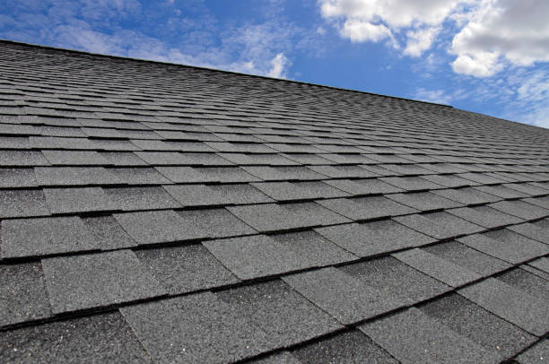 Best Roofing for New Construction  in Barrackville, WV